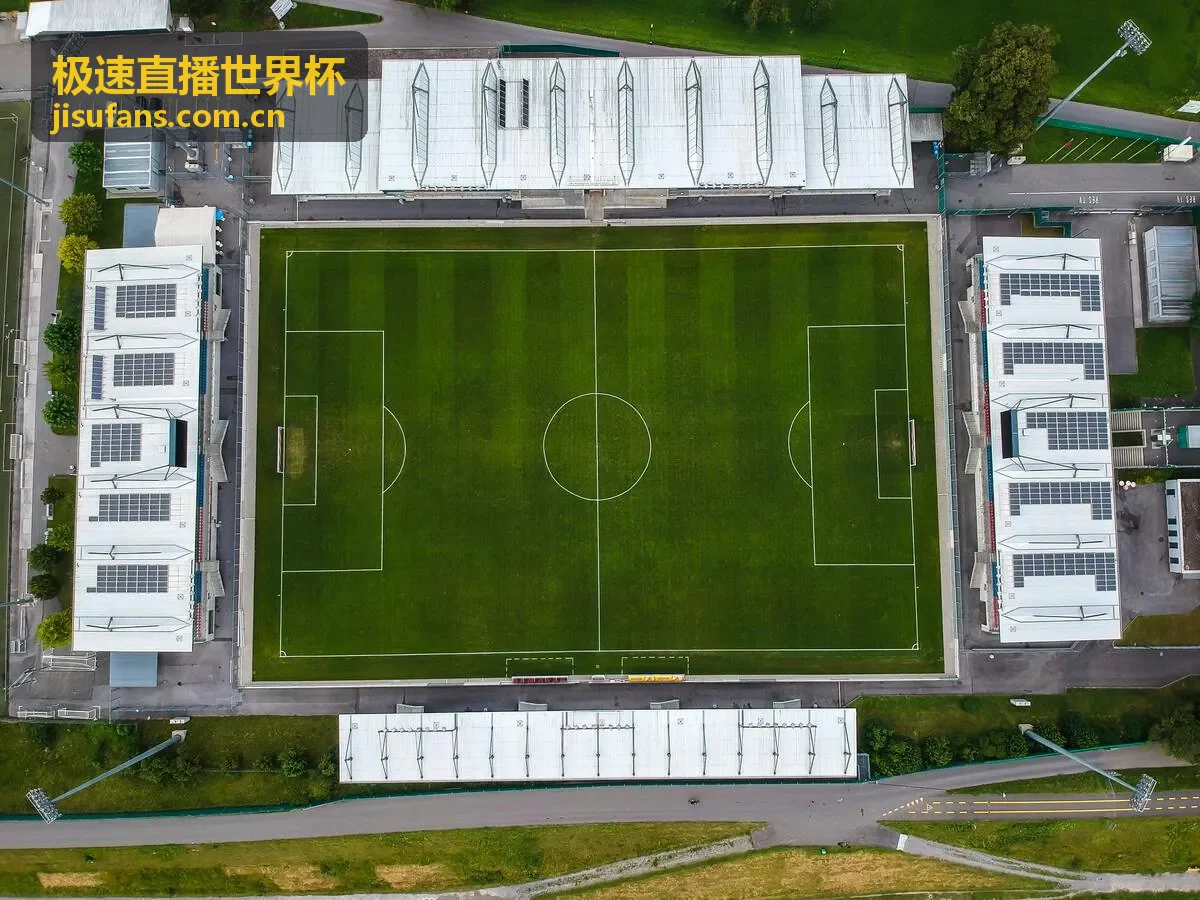 极速直播世界杯 - 赛事分析：巴西队战术深度解读